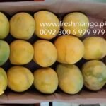 Anwar Ratol Fresh Mangoes