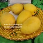 Anwar Ratol---Farm Fresh Mangoes-Pk- (3)