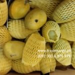 Anwar Ratol Fresh Mangoes