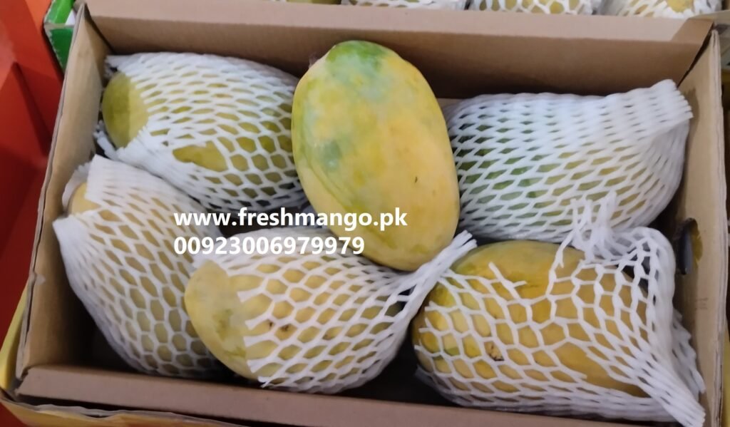 Chaunsa Mangoes
