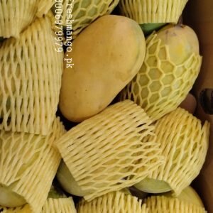 best mango exporters from Pakistan
