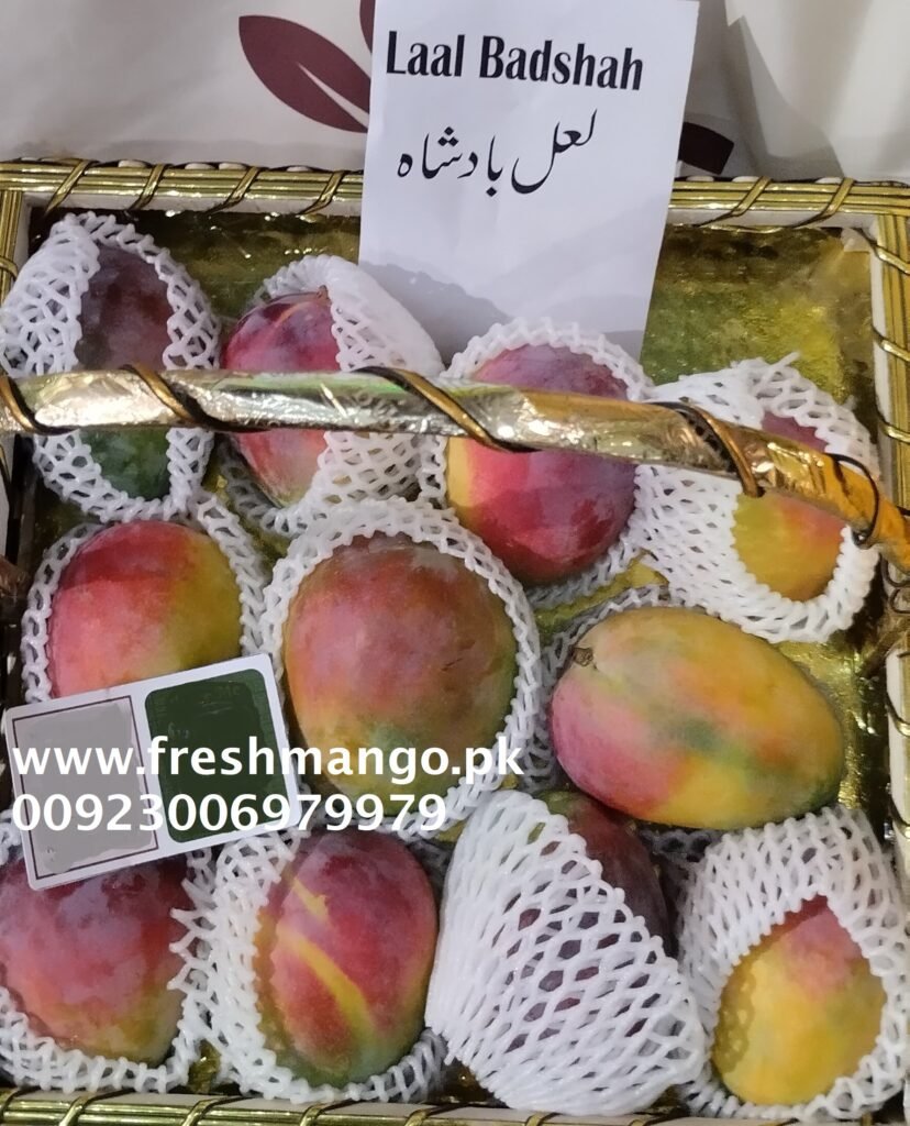 Laal Badshah Mangoes