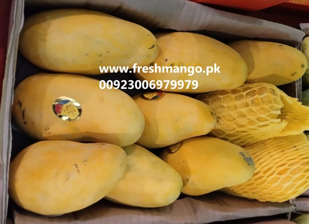Sindhri Fresh Mangoes from Pakistan