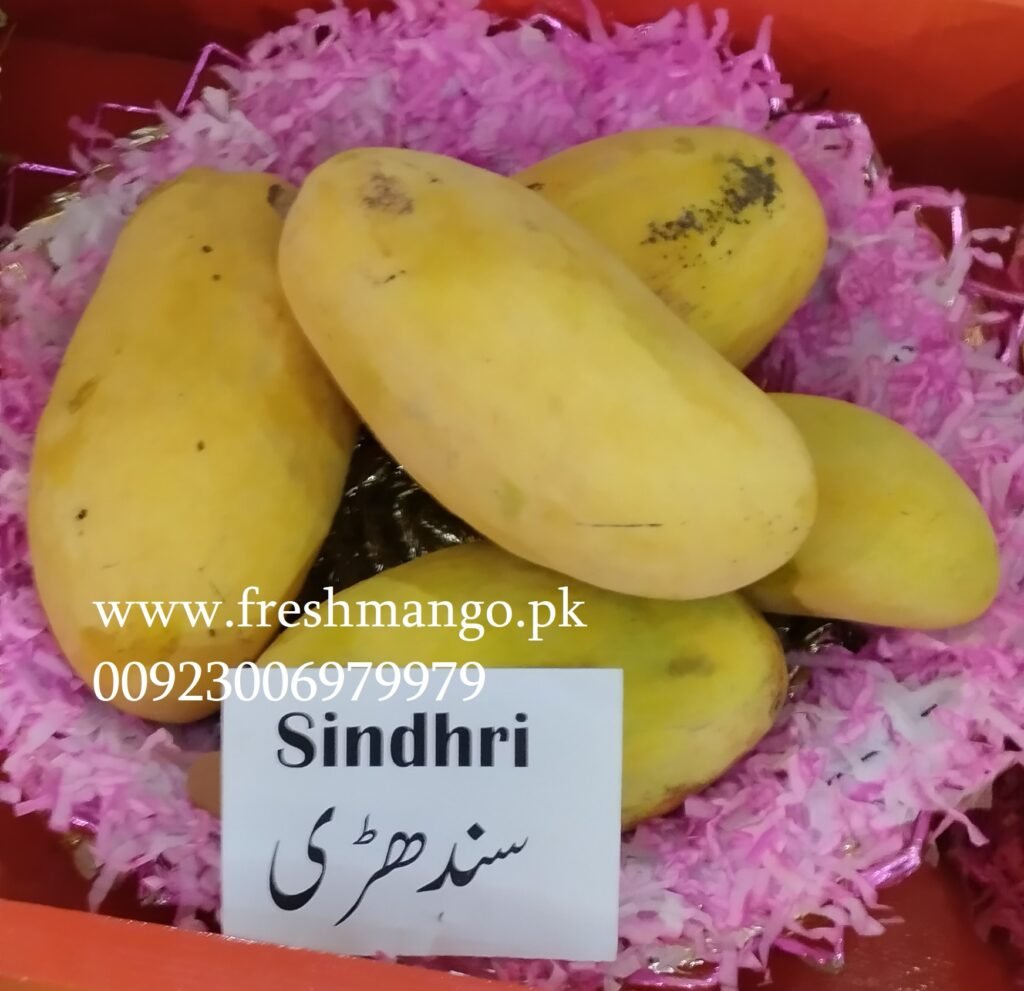 Sindhri Mangoes from Pakistan