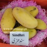 Sindhri Mangoes from Pakistan
